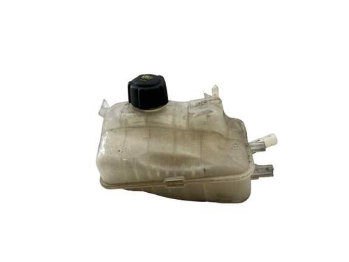 ekpansionstank-renault-megane-iii-hatchback-bz01_-b3_-2008-34236708 main image