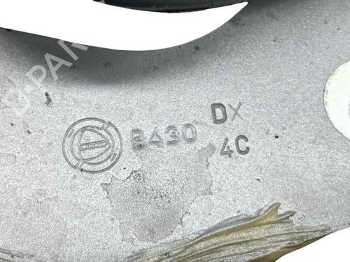 Hinge/Door check strap FIAT 500 (312_) 1.2 (312AXA1A) | BP30191553C146 