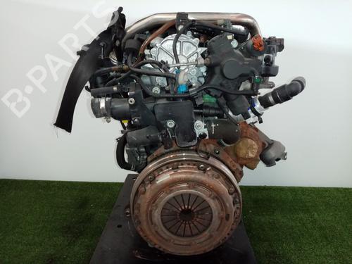 Engine FORD FOCUS C-MAX (DM2) | BP31683903M1 - Image 6