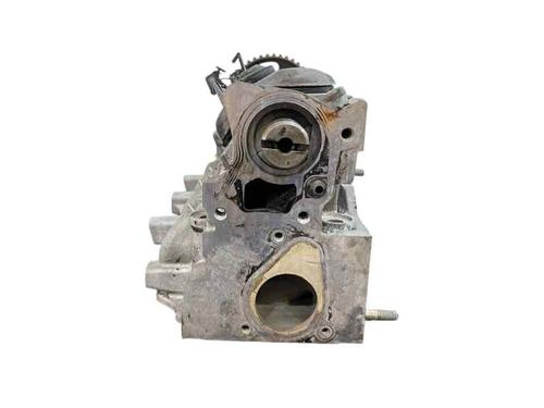Used Cylinder head RENAULT MEGANE II Saloon (LM0/1_) 1.9 dCi (92 hp) 29177377