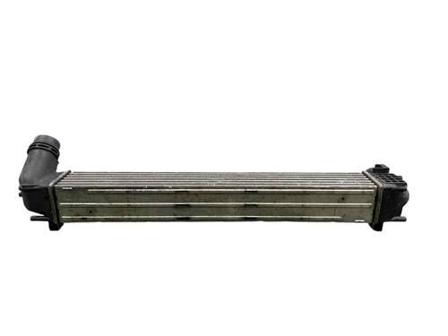 Intercooler RENAULT SCÉNIC III VAN (JZ0/1_) 1.4 TCe (JZ0F, JZ1V) | BP25211469M30
