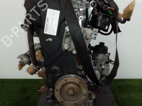 Engine FORD FOCUS C-MAX (DM2) | BP31683903M1 - Image 4