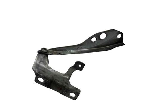 Hinge/Door check strap VOLVO C30 (533) 2.0 D | BP31870010C146