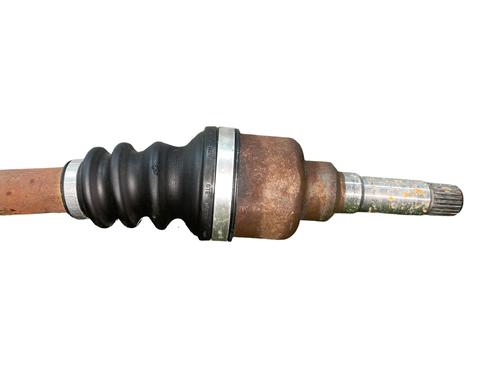  - Image 4