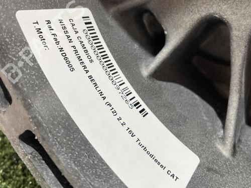 Gearbox NISSAN PRIMERA (P12)  | BP31684543M3 