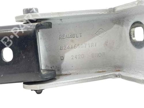 Hinge/Door check strap DACIA DOKKER Box Body/MPV 1.3 TCe 100 (FENU) | BP25250110C146