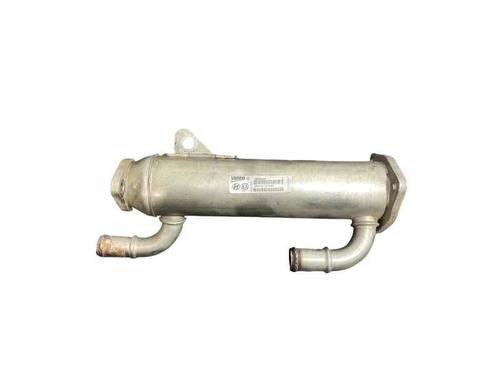 Egr KIA CARENS III MPV (UN) [2006-2013]  31683591