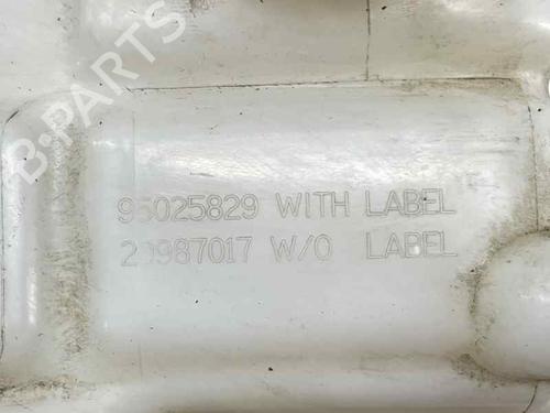 Expansion tank CHEVROLET CAPTIVA (C100, C140) 2.2 D | BP29177489C120 