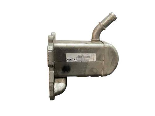 Egr RENAULT MEGANE III Hatchback (BZ0/1_, B3_) [2008-2026]  31683238