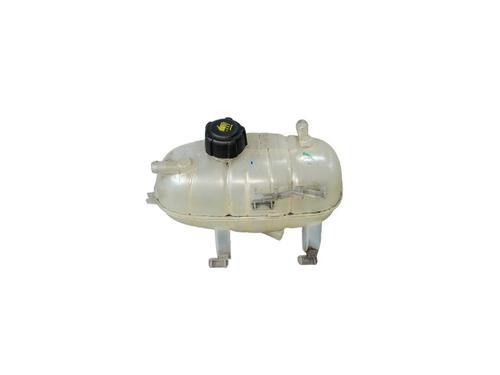 Used Expansion tank RENAULT TRAFIC III Van (FG_) 2.0 dCi 120 (FGMN) (120 hp) 25210877