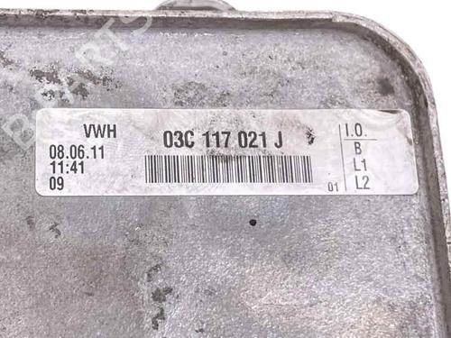 Oil radiator SEAT LEON (1P1) 1.4 16V | BP27448555M33