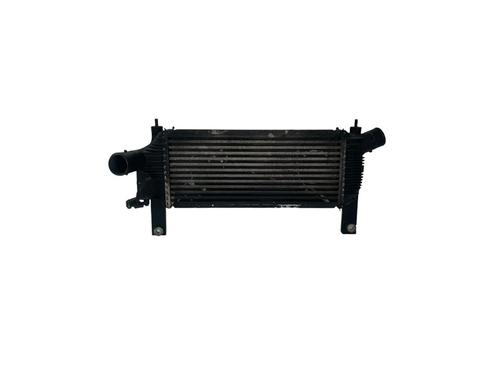 Intercooler NISSAN PATHFINDER III (R51) 2.5 dCi | BP25211132M30 