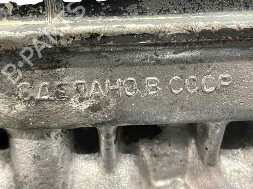 Cylinder head LADA NIVA Closed Off-Road Vehicle (2121, 2131) 1700 i | BP29298686M5 