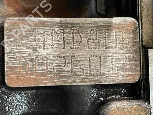 Used Engine Engine RENAULT CLIO III Grandtour (KR0/1_) 1.6 16V (KR0B) (112 hp) 29129359 29129359