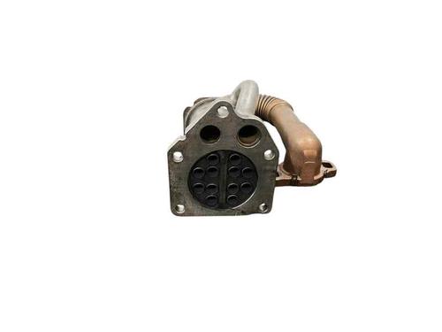Egr DACIA LOGAN EXPRESS (FS_) 1.5 dCi (FS0K) | BP24224203M69 