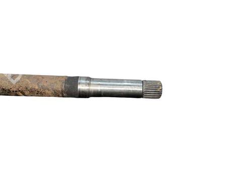  - Image 4