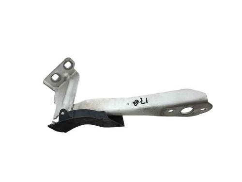 hingedoor-check-strap-renault-master-iii-van-fv-2010-28182329 main image