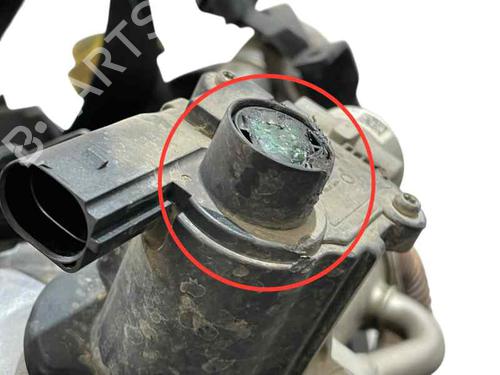 Engine RENAULT MEGANE II Saloon (LM0/1_) 1.5 dCi (LM1F) | BP28035095M1  - Image 9