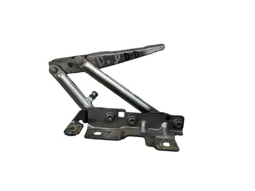 hingedoor-check-strap-opel-insignia-a-saloon-g09-2008-2009-2010-2011-2012-2013-2014-2015-2016-2017-32358336 main image