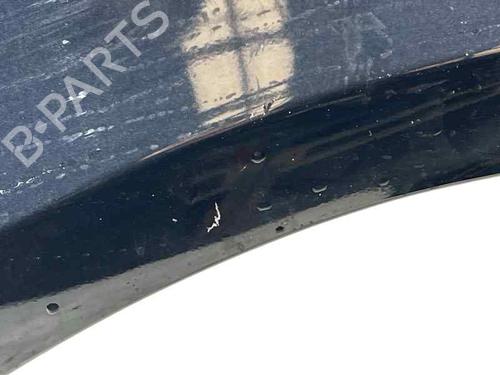 Left front fenders AUDI Q5 (8RB) 3.0 TDI quattro | BP31752307C41