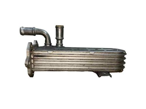 Egr VW GOLF PLUS V (5M1, 521) 2.0 TDI | BP31583215M69