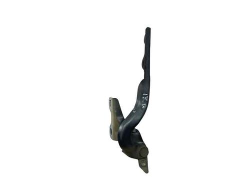Hinge/Door check strap CITROËN C-ELYSEE (DD_) 1.6 HDI 92 | BP29497867C146 