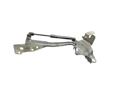 Used Hinge/Door check strap Hinge/Door check strap RENAULT SCÉNIC III VAN (JZ0/1_) 1.4 TCe (JZ0F, JZ1V) (131 hp) 25211473 25211473