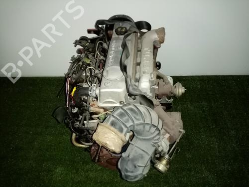  - Image 7