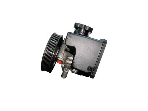 Styring servopumpe MERCEDES-BENZ SPRINTER 4-t Platform/Chassis (B904) 413 CDI (129 hp) 25211705