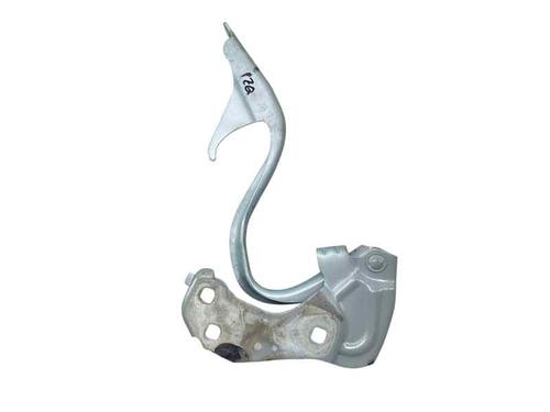 Hinge/Door check strap FIAT 500 (312_) 1.2 (312AXA1A) | BP30191554C146