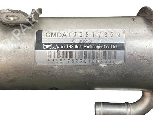 Egr CHEVROLET CAPTIVA (C100, C140) 2.0 D | BP25210969M69 - Image 2