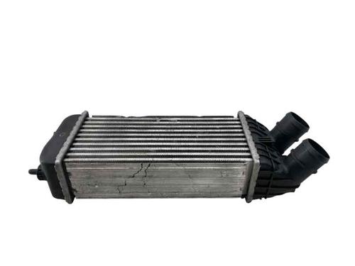 Intercooler CITROËN C-ELYSEE (DD_) 1.6 HDI 92 | BP29497859M30 