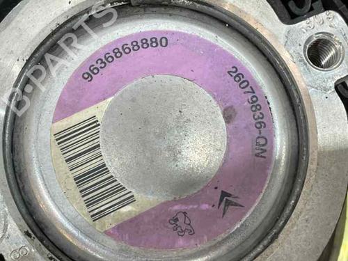 Steering pump PEUGEOT 206 Saloon 1.6 16V | BP30314417M99 