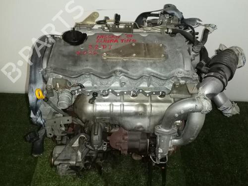 Motor für NISSAN ALMERA TINO (V10) 2.2 dCi (115 hp) 31683799
