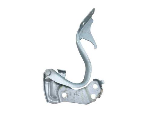 hingedoor-check-strap-fiat-500-312_-2007-30191554 main image