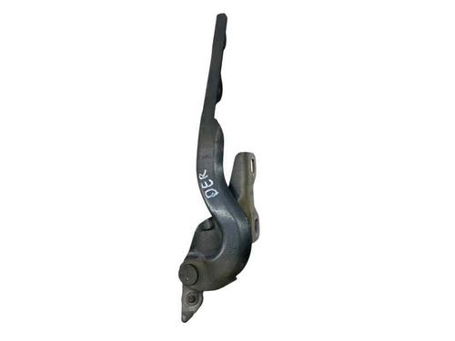 Hinge/Door check strap CITROËN C-ELYSEE (DD_) 1.6 HDI 92 | BP29497866C146 