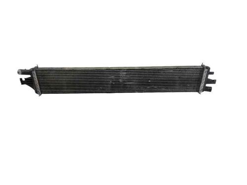 Used Water radiator Water radiator RENAULT MASTER III Van (FV) 2.3 dCi 110 FWD (FV0R, FV0W, FV1A) (110 hp) 29176827 29176827