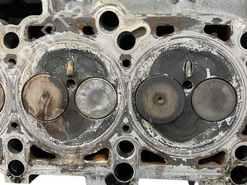 Used Cylinder head VW GOLF PLUS V (5M1, 521) 1.9 TDI (105 hp) 30270602
