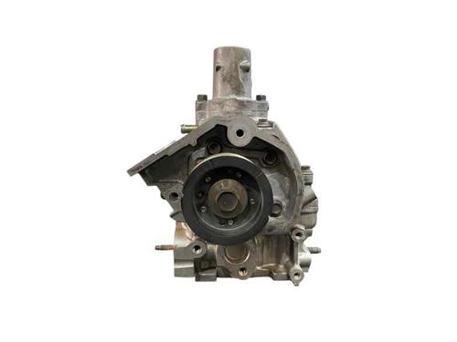 Cylinder head RENAULT ESPACE IV (JK0/1_)  | BP31683157M5  - Image 8