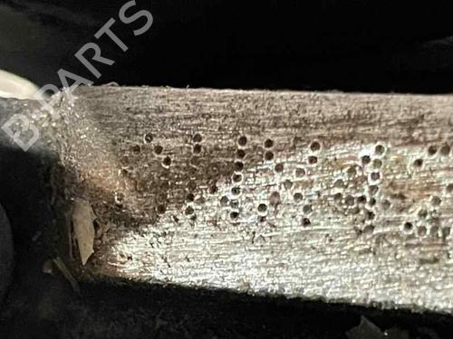 Motor SKODA SUPERB I (3U4) 1.9 TDI (130 hp) 29605670