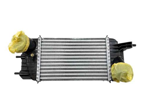 Intercooler NISSAN JUKE (F15) 1.5 dCi (110 hp) 31683287