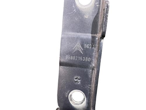 hingedoor-check-strap-citroen-c5-iii-rd_-2008-2009-2010-2011-2012-2013-2014-2015-2016-2017-24353149 main image