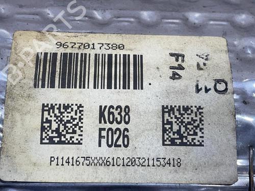 Particulate filter PEUGEOT 308 I (4A_, 4C_)  | BP31681811M81 