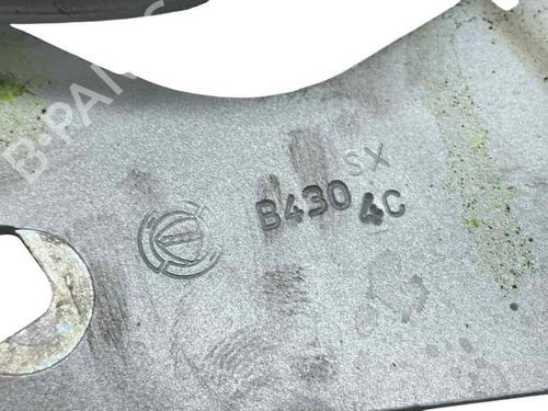 Hinge/Door check strap FIAT 500 (312_) 1.2 (312AXA1A) | BP30191554C146