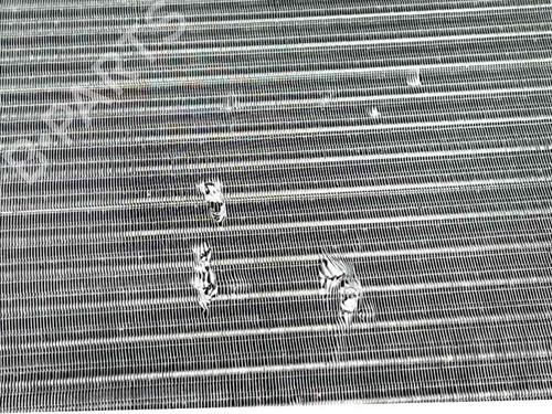 Water radiator FORD KA (RU8) 1.2 | BP32845548M31 - Image 3
