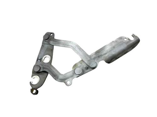 hingedoor-check-strap-ford-fiesta-vi-cb1-ccn-2008-30367818 main image