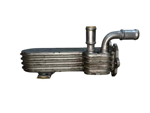 Egr VW GOLF PLUS V (5M1, 521) 2.0 TDI | BP31583215M69