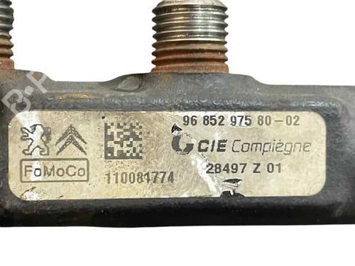 Used Injection rail FORD FIESTA VI (CB1, CCN) 1.4 TDCi (68 hp) 29177172