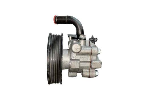 Bomba direccion KIA CARENS III MPV (UN) [2006-2013]  31683598