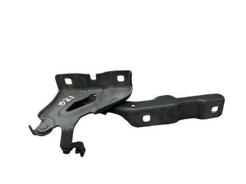 Dørhængsel/Dørbegrænser DACIA SANDERO III 1.0 TCe 110 (110 hp) 31869684